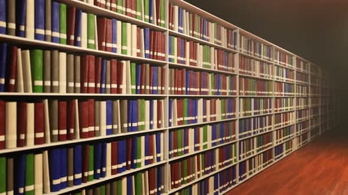 3D Library Bookshelves Endless Scroll