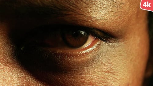 Extreme Close Up of a Human Eye