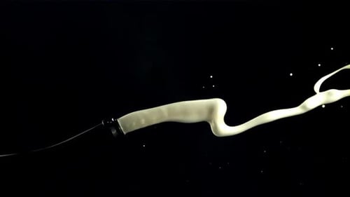 Champagne Bottle Cork Pops, Liquid Gushes in Slow Motion