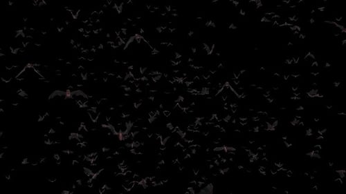 Swarming Halloween Bats Fly Seamless Loop Animation