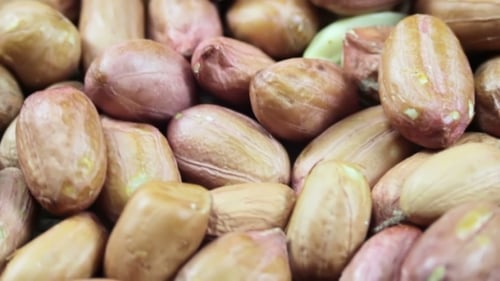 Shelled Peanuts Close-Up Texture