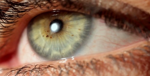Detailed Close-Up of a Captivating Human Eye