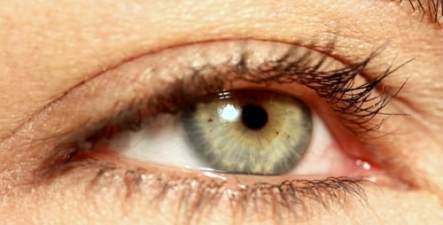 Macro Shot of an Eye Opening Wide