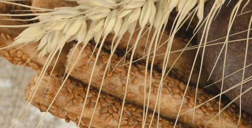 Close Up of Grains and Rustic Breads