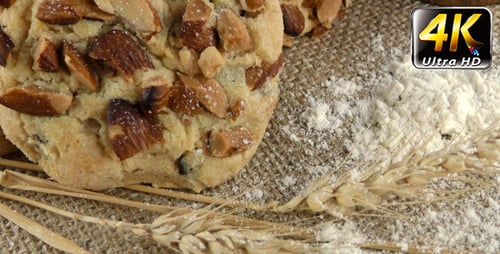 Almond Cookies with Wheat and Flour Close Up
