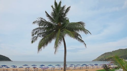 Karon Beach In The Early Morning