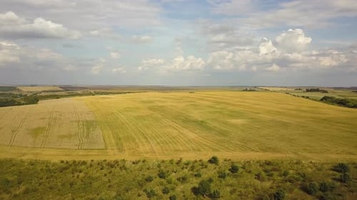 Paysage rural aérien avec des champs agricoles jaunes et un ciel bleu avec des nuages blancs.