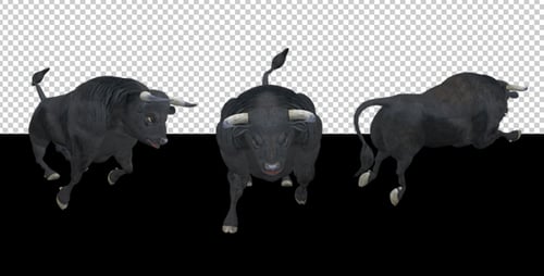 Black Bull - Attack Run - Pack of 3