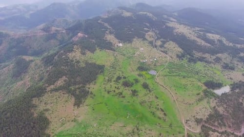 Small Forest Clusters and Sparse Trees