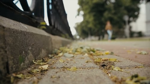 Strong Winds In The City