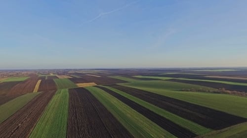 Vue Aérienne Sur Divers Champs