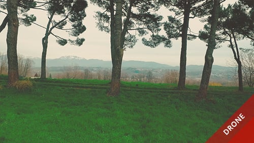 Pinien und Berglandschaft im Hintergrund