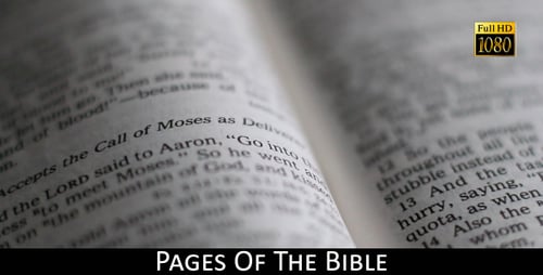 Seiten der Bibel 11