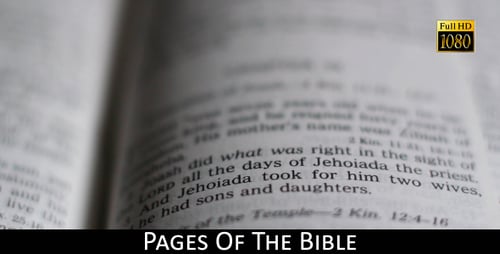 Close Up of an Open Bible with Pages Turning