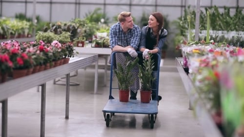 Young Adults Working Together in Bright Greenhouse