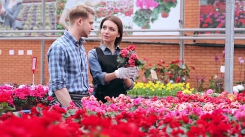 Man and Woman in a Greenhouse Examining Flowers