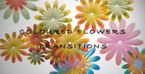 Vibrant Geometric Flower Petal Video Transitions
