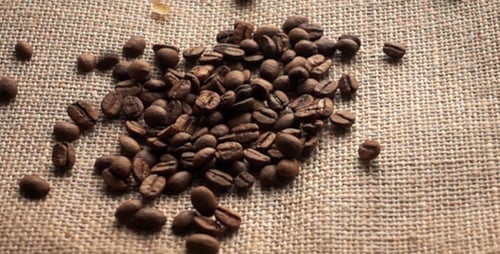 Coffee Beans Falling Onto Burlap Background