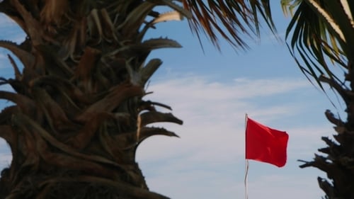 Red Flag Blowing on Tropical Beach, Palm Trees
