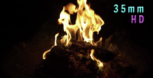 Campfire Flames Dancing in the Night