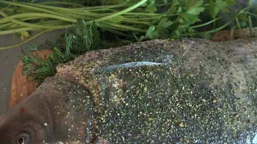 Raw Fish Prepared with Spices and Herbs