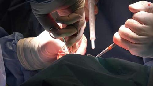 Surgery 5