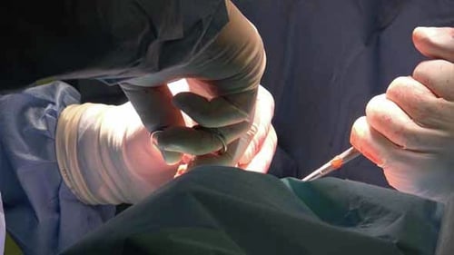 Surgery 6