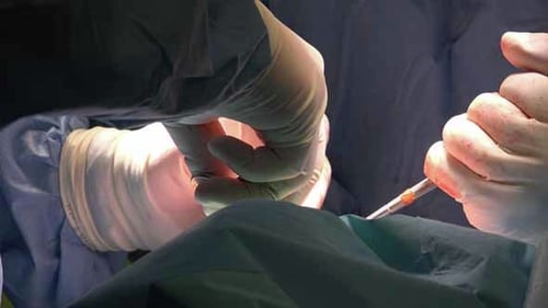 Surgery 7