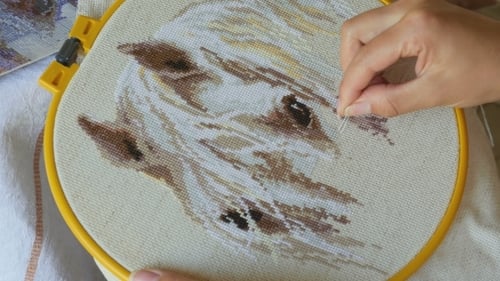 Person Hand Sewing Needle Through Fabric Cross-Stitch Design