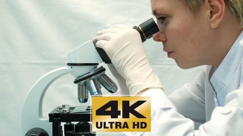 Young Adult Examining Sample Through Microscope