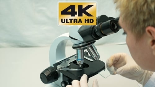 Scientist Using Microscope in Bright Laboratory