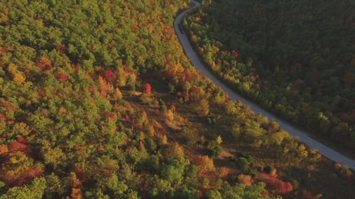 Aerial of Scenic Road with Fall Leaves