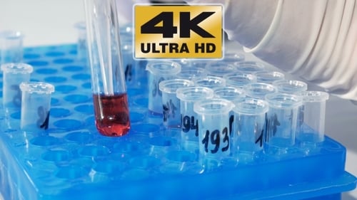 Lab Technician Scientist Makes Chemical Analysis