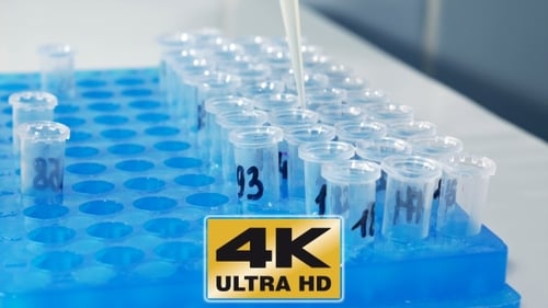 Liquid Being Poured Into Labeled Test Tubes