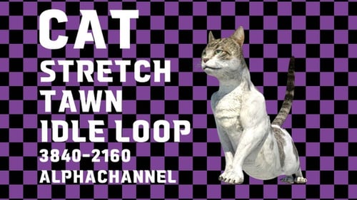 Cat Stretch Tawn Idle Alpha Loop, 4 K