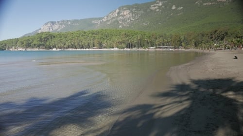 Sandy Beach With Palm Trees Along