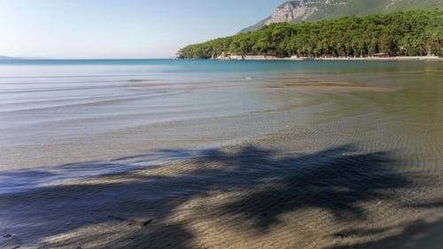 Palm Tree Shadow On Sandy Beach With Gentle Tide On The Sea.