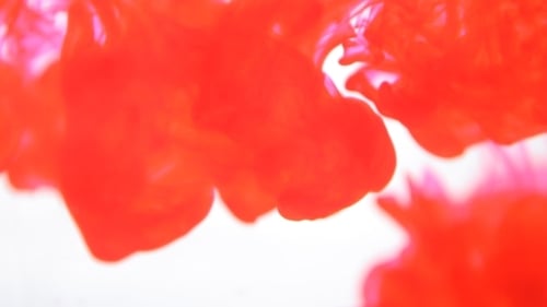 Red Ink Dissolve Slowly In Clear Water