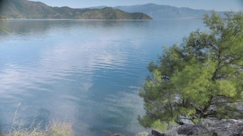 Lake View With Pine Trees, Green Hills And Clouds