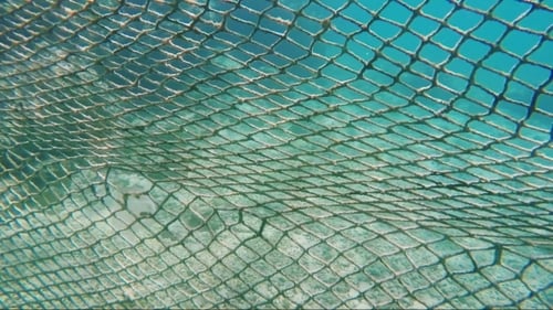 Fishing Net on the Ocean Floor