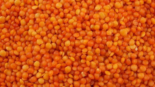 Red lentils background close up