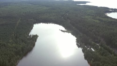 Aerial View From Drone on Summer Forest and Lake