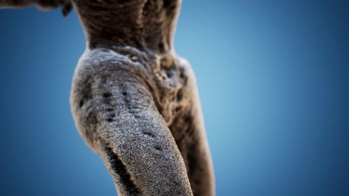 Grotesque Zombie Figure 3D Horror Animation