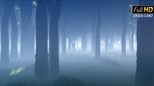 Misty Forest with Sun Rays Cinematic Camera Movement