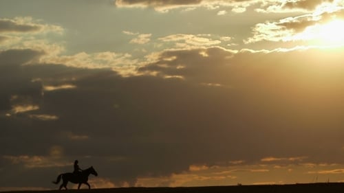 Woman Riding Horse On Field During Sunset