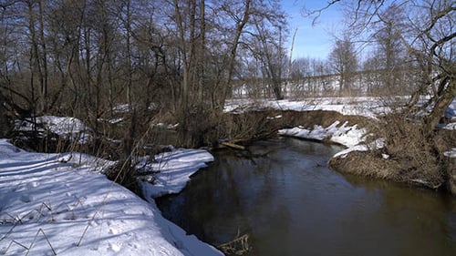 Forest River at Early Spring