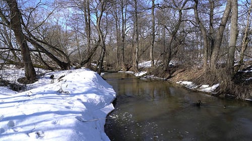 Forest River at Early Spring