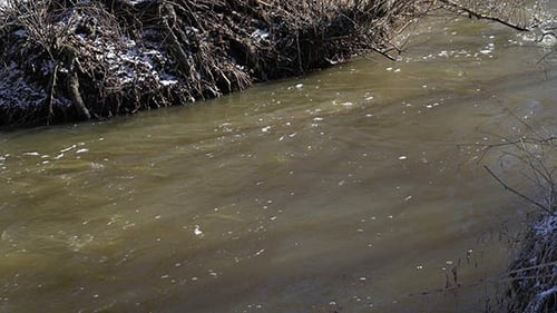 Forest River at Early Spring