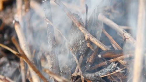 Burning Twigs Smoldering with Smoke Close Up