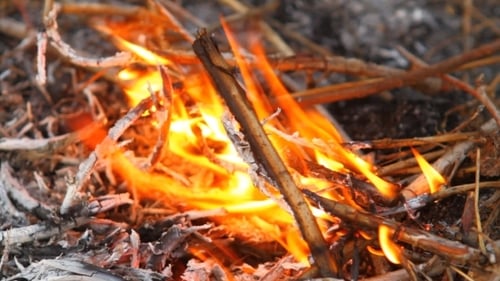 Close Up of Fire Burning Twigs and Leaves